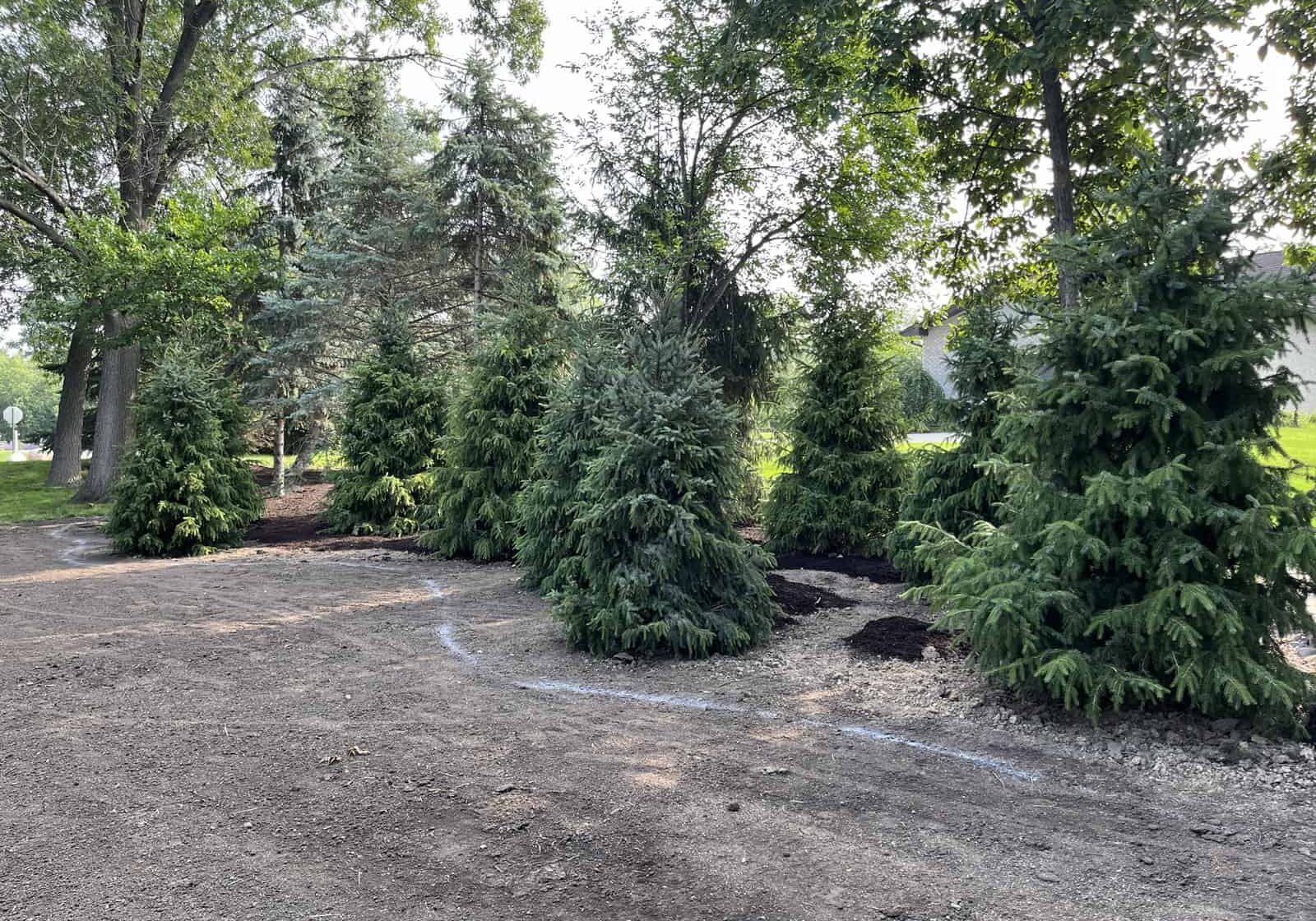 We bring your landscape to life with our tree and shrub installation services, carefully selecting and placing greenery to enhance the beauty and balance of your outdoor environment, while also providing shade relief, privacy, and seasonal color.  