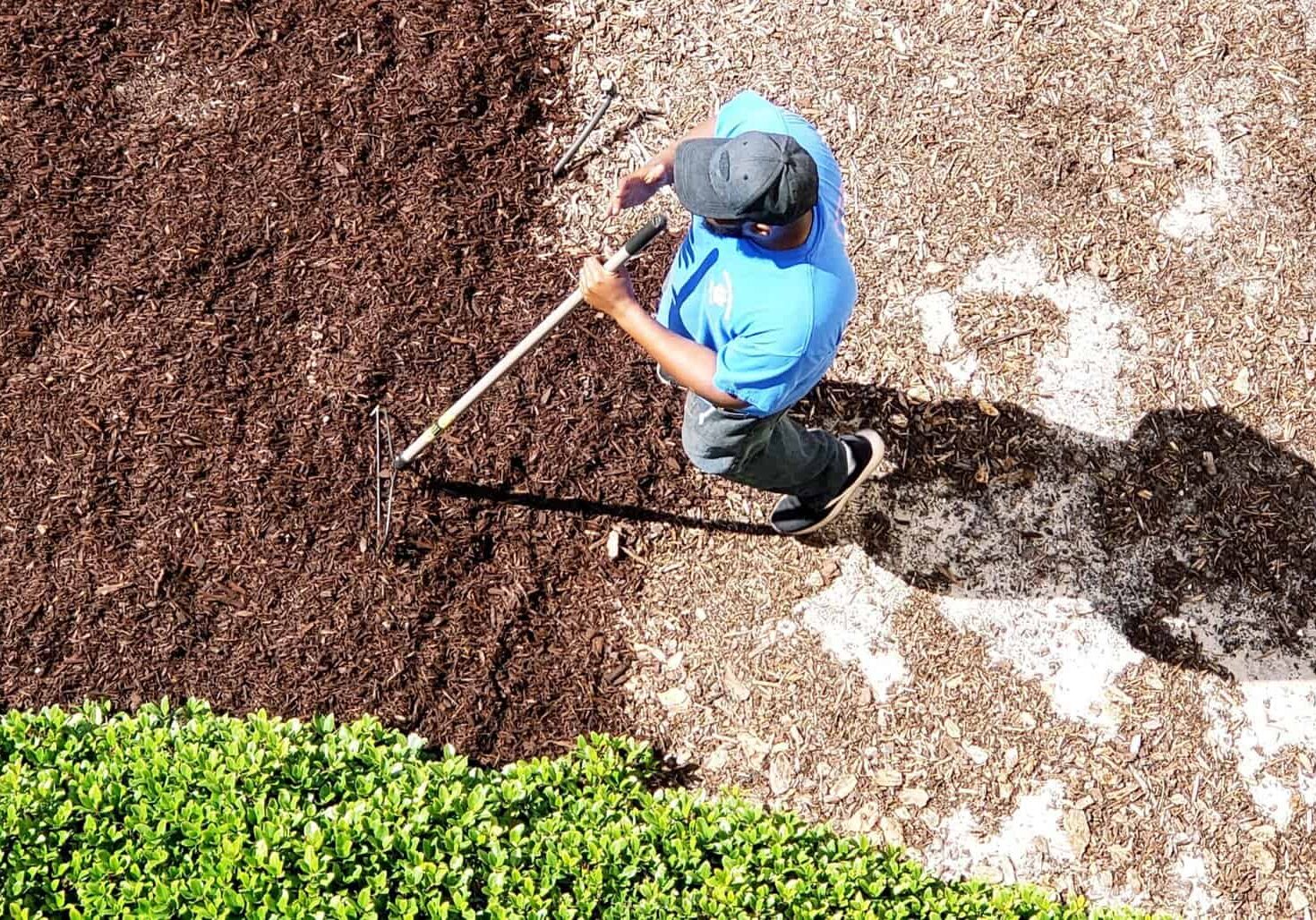 Our mulch installation not only enhances aesthetics but also conserves moisture, suppresses weeds, and regulates
soil temperature, fostering a healthier landscape.